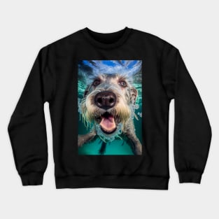 Dogs in Water #10 Crewneck Sweatshirt